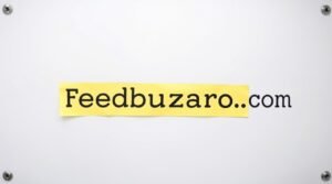feedbuzzard .com