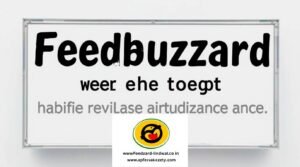 feedbuzzard advertising