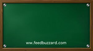 www. feedbuzzard com